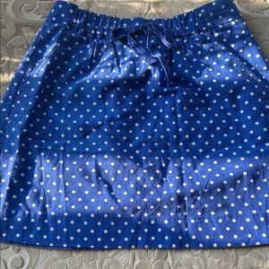 J. Crew Navy Polka Dot Mini Skirt